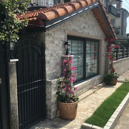 Luxury With Pool Vilă