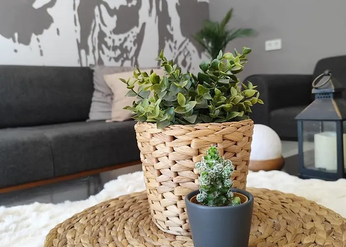 Villa Luxury With Pool