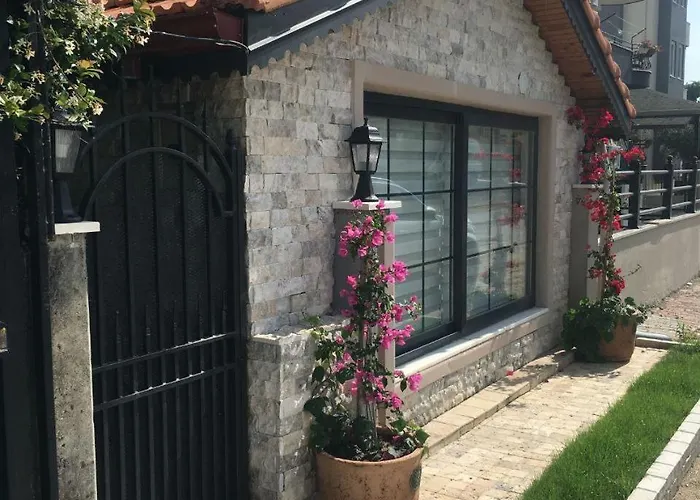 Luxury With Pool 别墅